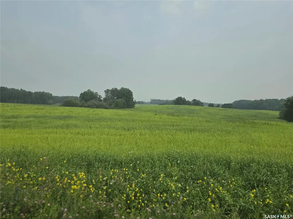 Rural Address Bjorkdale Rm No. 426 SK S0E 1B0