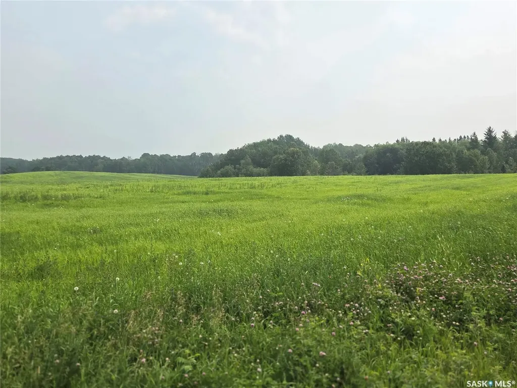 Rural Address Bjorkdale Rm No. 426 SK S0E 1B0