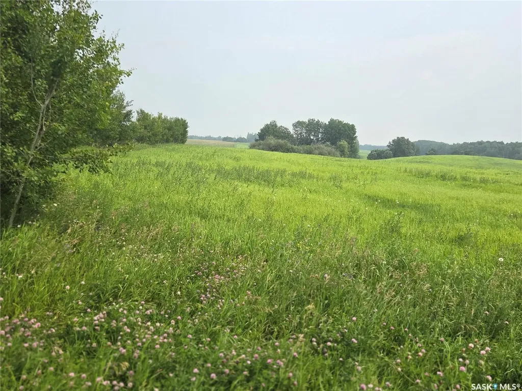 Rural Address Bjorkdale Rm No. 426 SK S0E 1B0