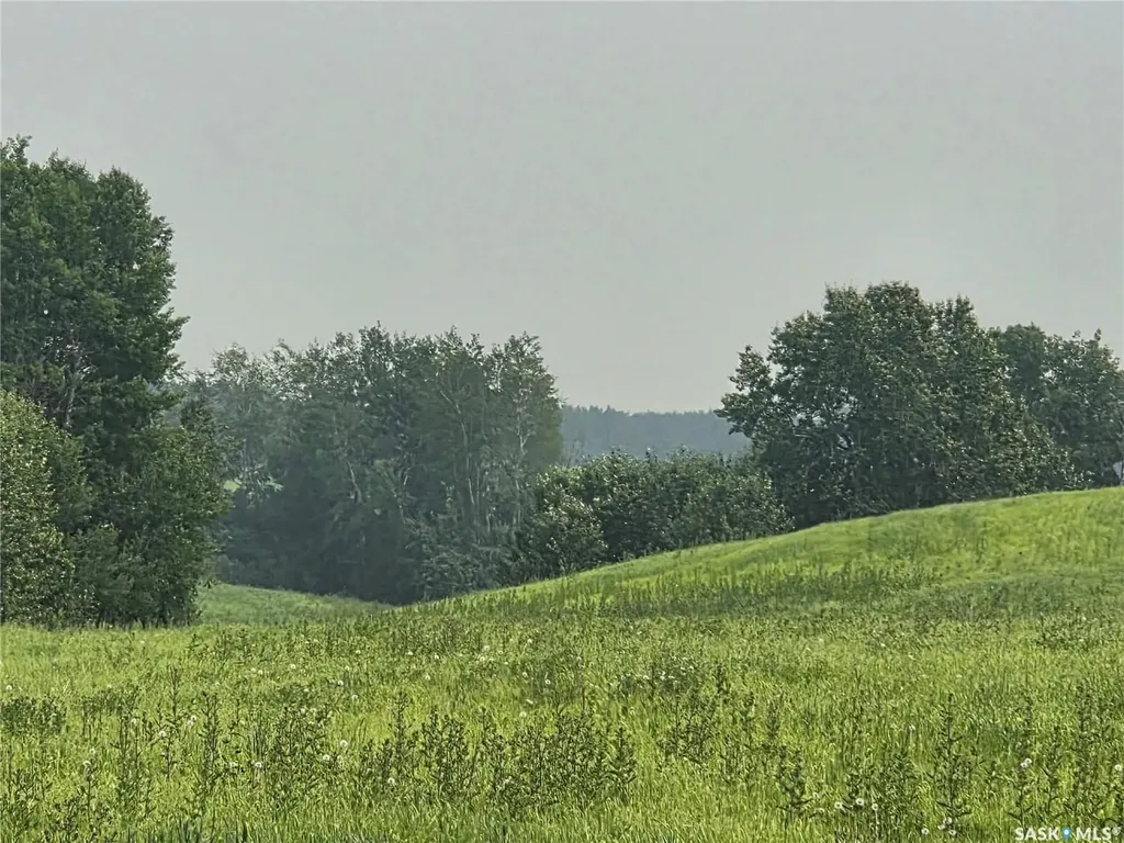 Rural Address Bjorkdale Rm No. 426 SK S0E 1B0