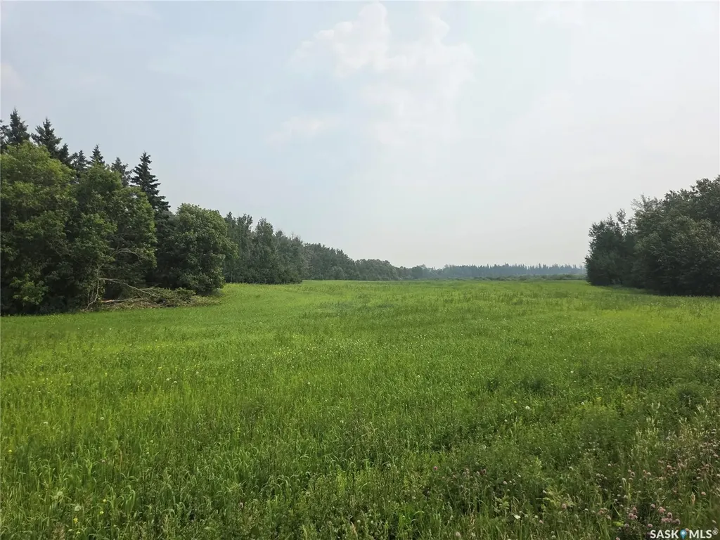 Rural Address Bjorkdale Rm No. 426 SK S0E 1B0