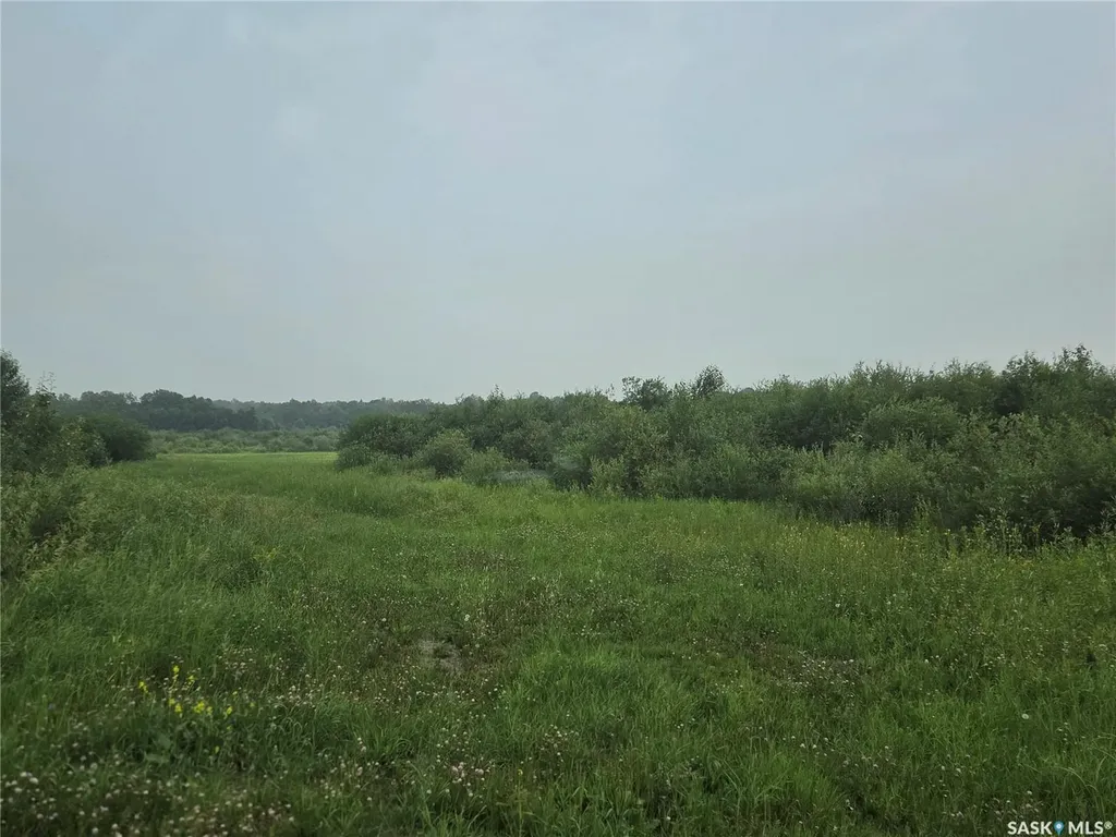 Rural Address Bjorkdale Rm No. 426 SK S0E 1B0