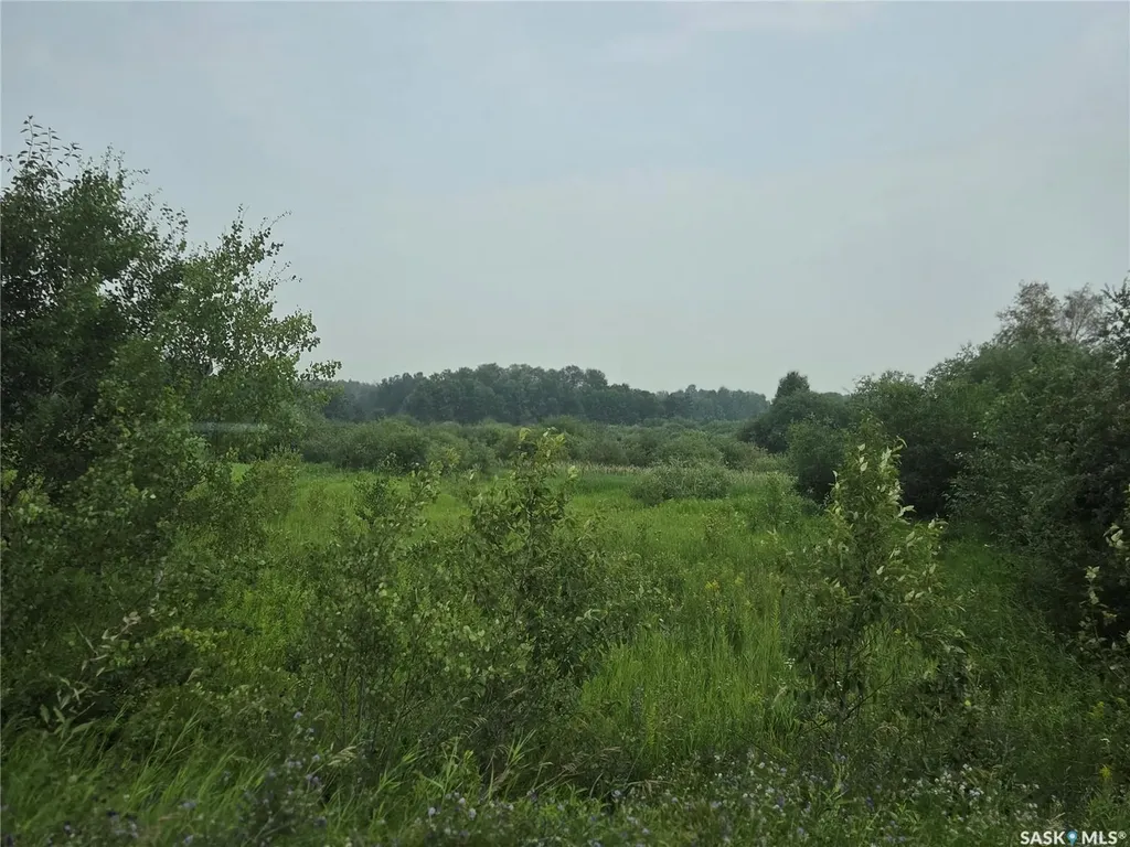 Rural Address Bjorkdale Rm No. 426 SK S0E 1B0
