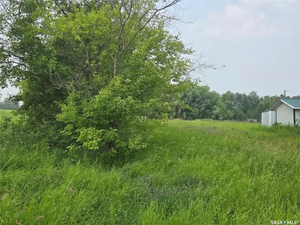 Rural Address Bjorkdale Rm No. 426 SK S0E 1B0