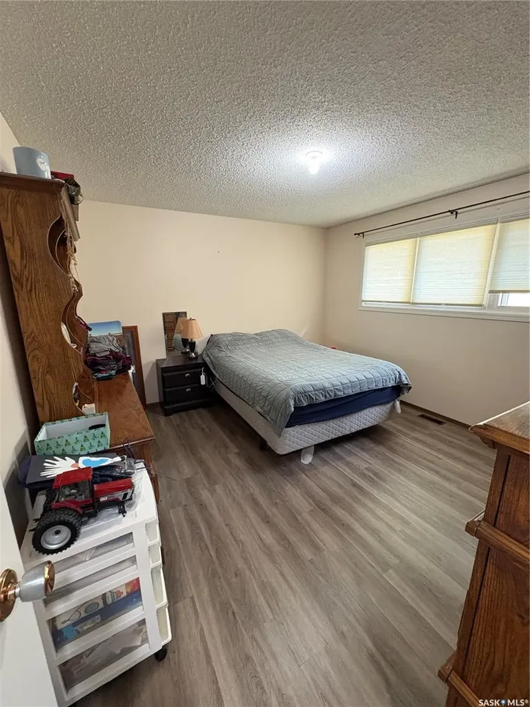 312 Bismark Avenue Langenburg SK S0A 2A0