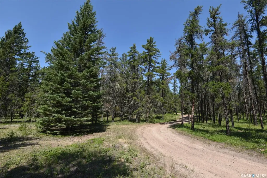 Rural Address Torch River Rm No. 488 SK S0E 1E0