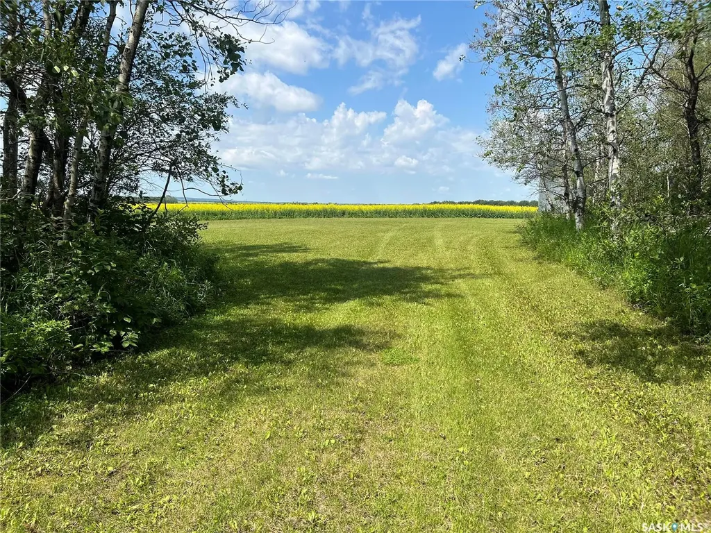Rural Address Porcupine Rm No. 395 SK S0E 1H0