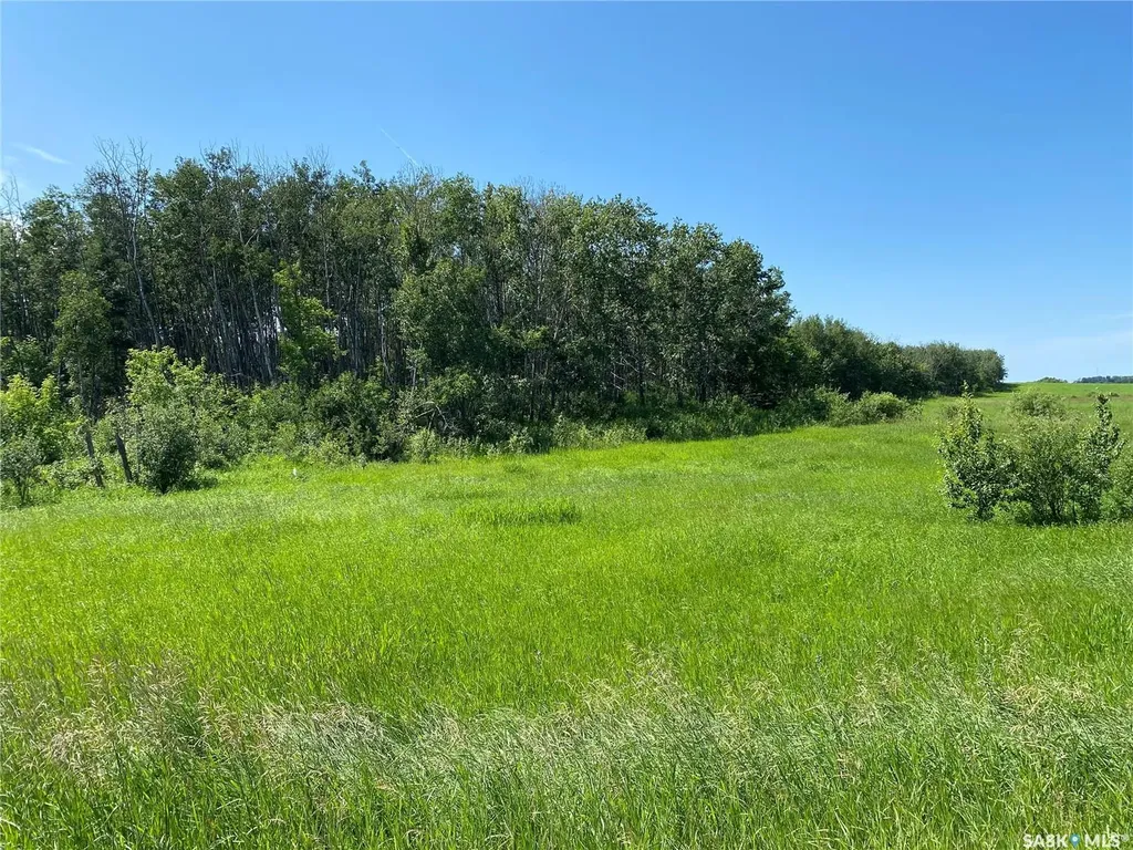Rural Address Leask Rm No. 464 SK S0J 1M0