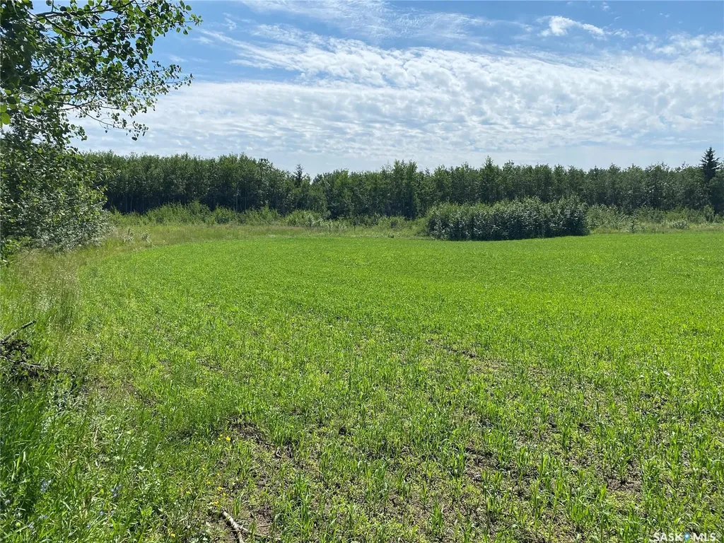 Rural Address Leask Rm No. 464 SK S0J 1M0
