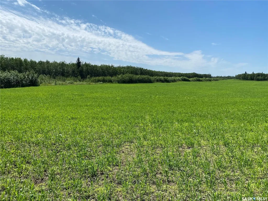 Rural Address Leask Rm No. 464 SK S0J 1M0