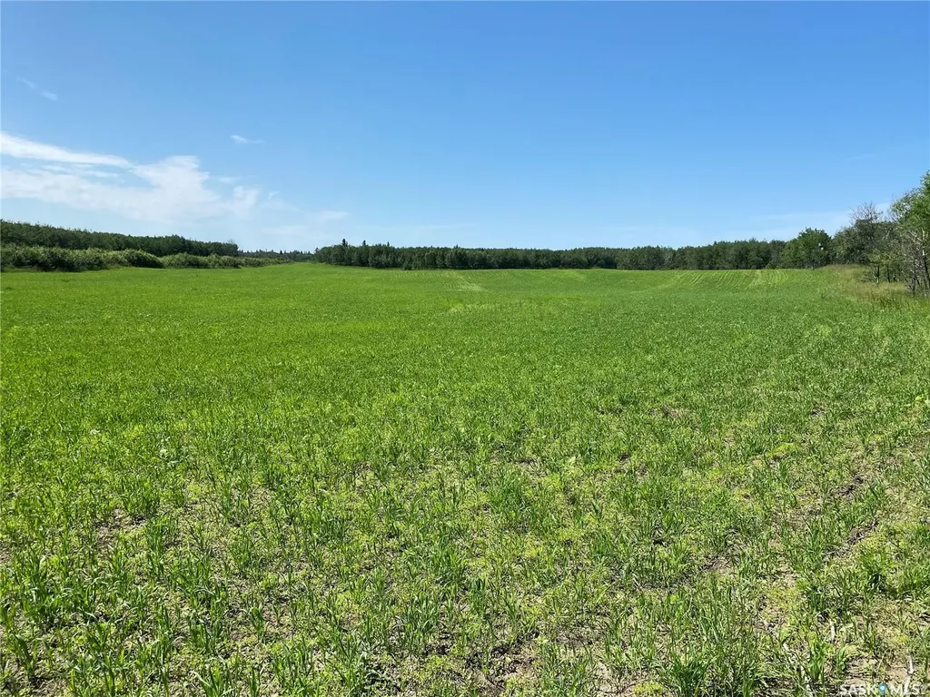 Rural Address Leask Rm No. 464 SK S0J 1M0