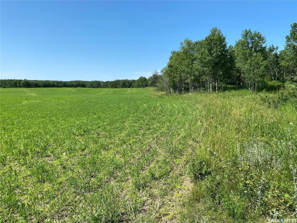 Rural Address Leask Rm No. 464 SK S0J 1M0