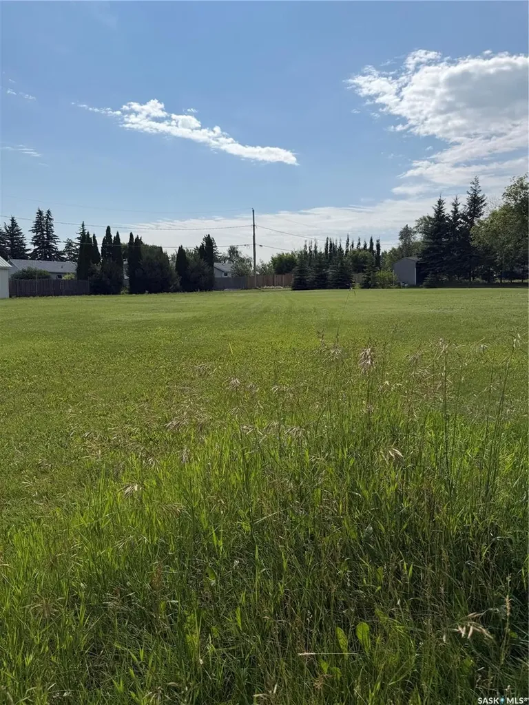 112 4th Street Birch Hills SK S0J 0G0