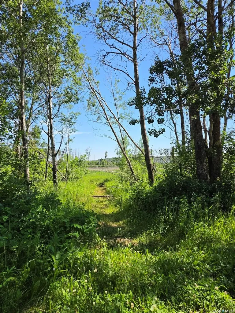 70 Kenosee Drive Moose Mountain Provincial Park SK S0C 2S0