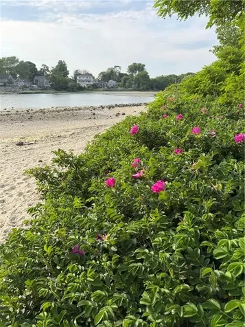 150 Alfred Drowne Road Barrington RI 02806