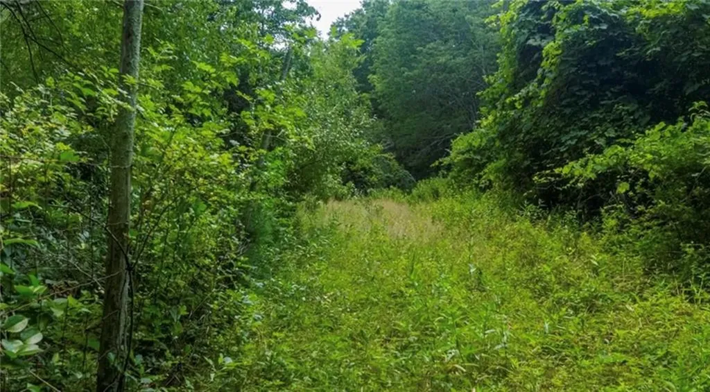 0 Lawton Foster Road Hopkinton RI 02833
