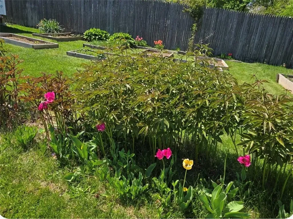 35 Fairview Avenue West Warwick RI 02893