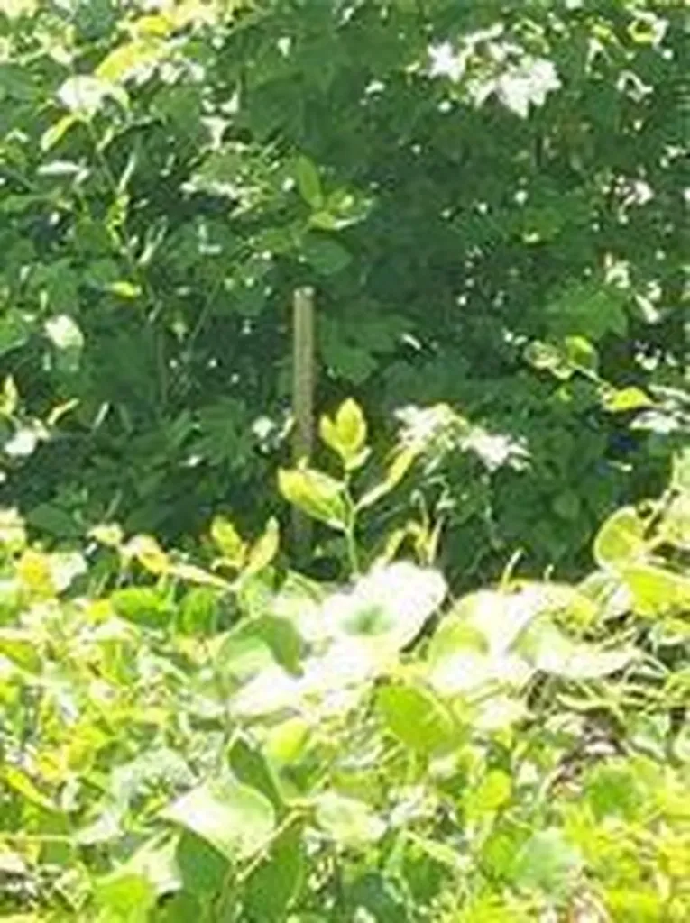 0 Narragansett Road Cumberland RI 02864