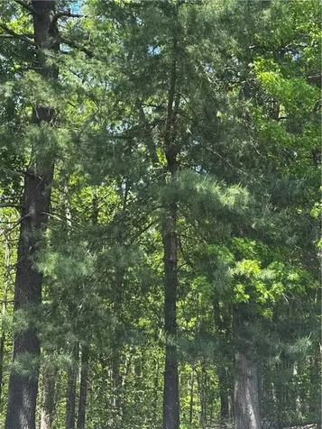 0 East Wallum Lake Road Burrillville RI 02830