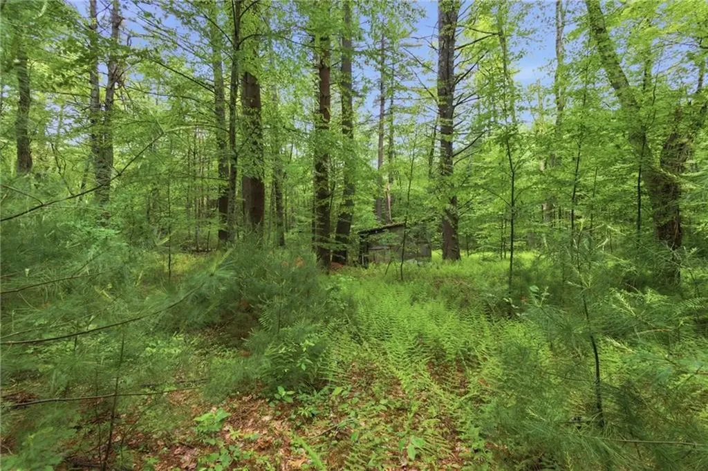 250 Spring Lake Road Burrillville RI 02826