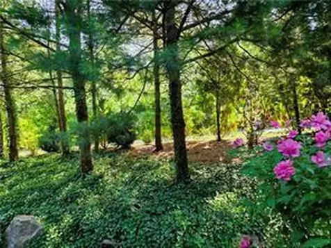 203 Dean Ridge Court Cranston RI 02920