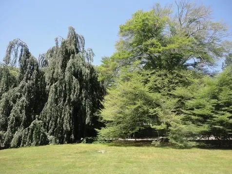 434 Bellevue Avenue Newport RI 02840