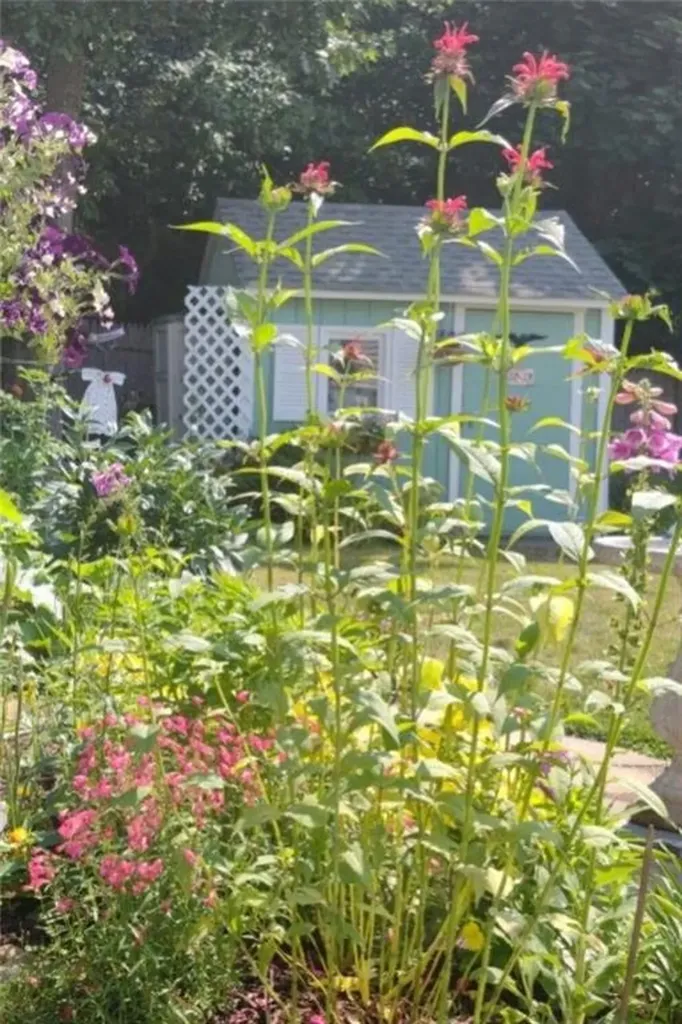 26 Potomac Road Warwick RI 02888
