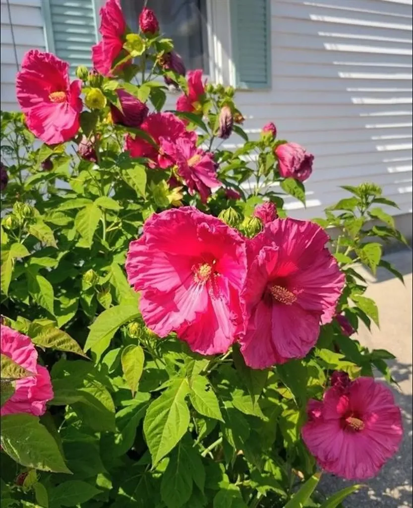 26 Potomac Road Warwick RI 02888