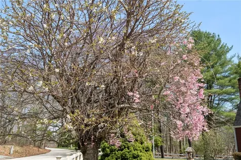 73 Old Nasonville Road Burrillville RI 02830