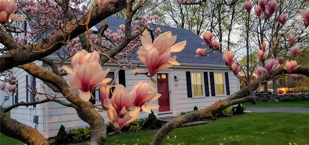 429 Forest Avenue Middletown RI 02842