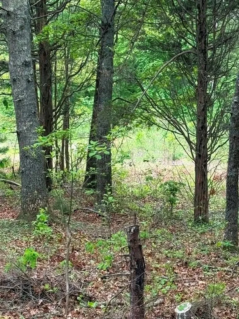 12 R Fallon Trail Westerly RI 02891