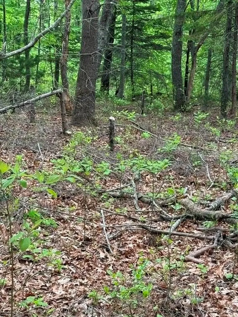 12 R Fallon Trail Westerly RI 02891