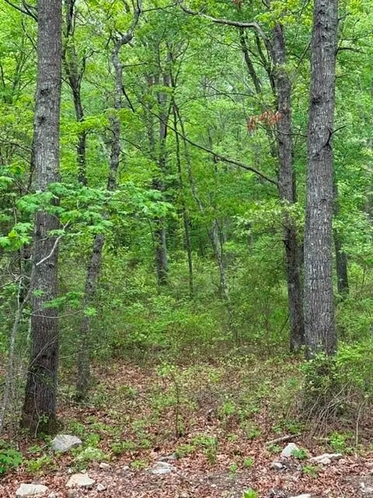 12 R Fallon Trail Westerly RI 02891