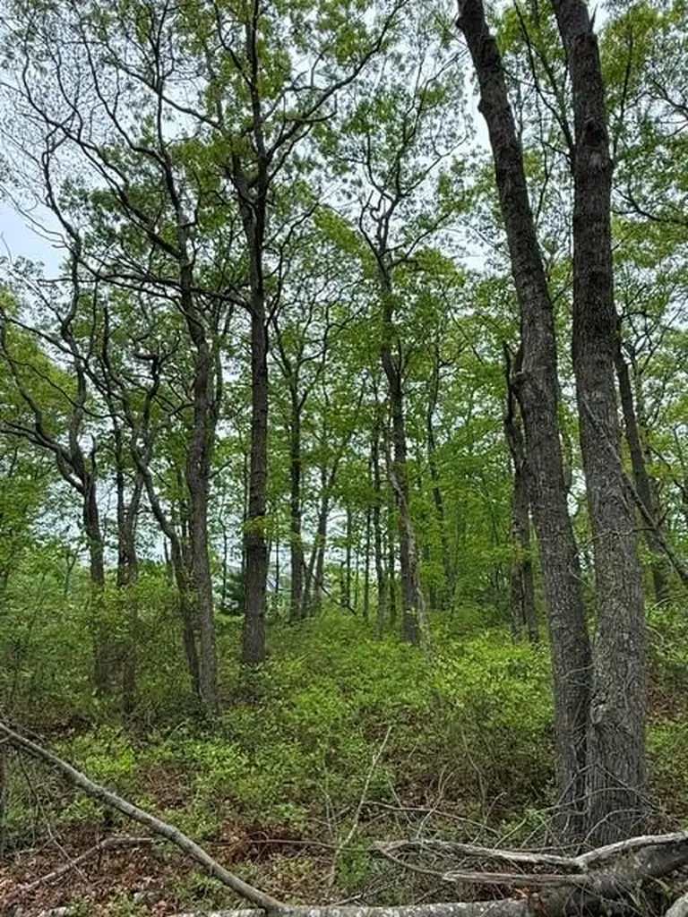 14 R Fallon Trail Westerly RI 02891