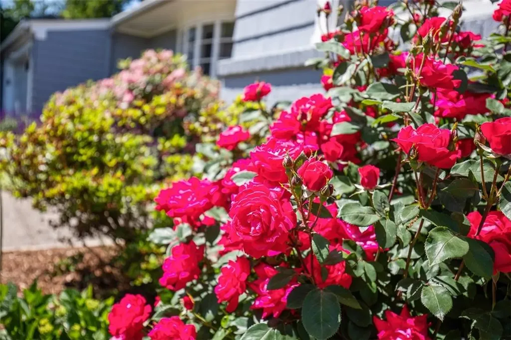 71 Primrose Hill Road Barrington RI 02806