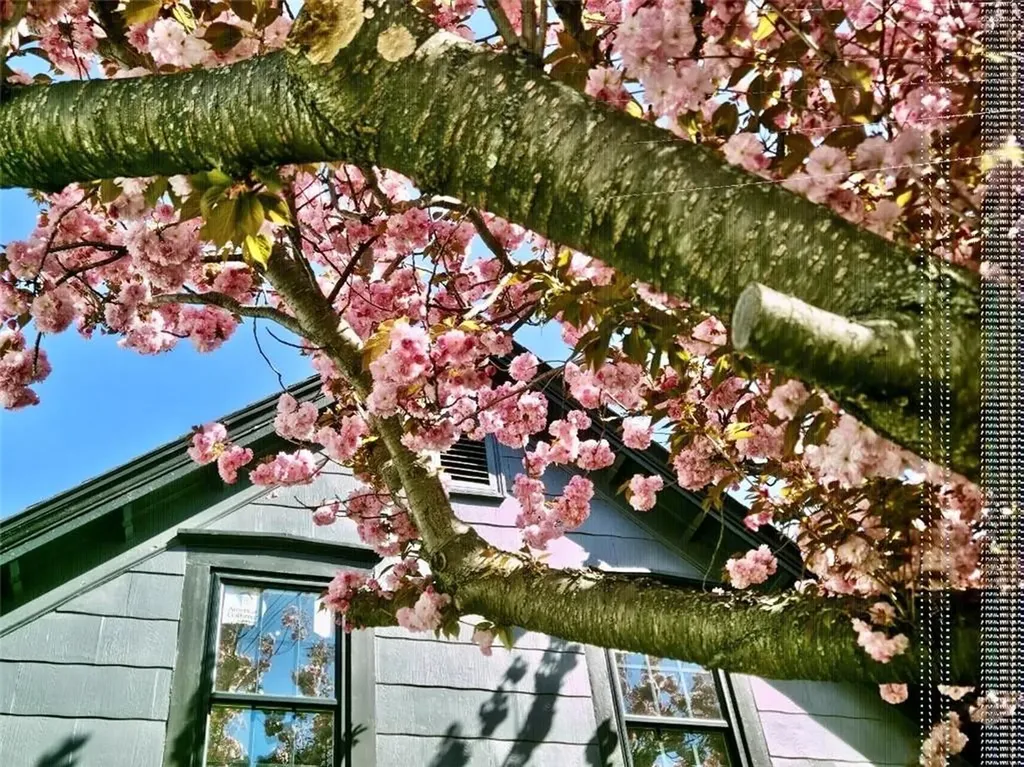 571 Winter Street Woonsocket RI 02895