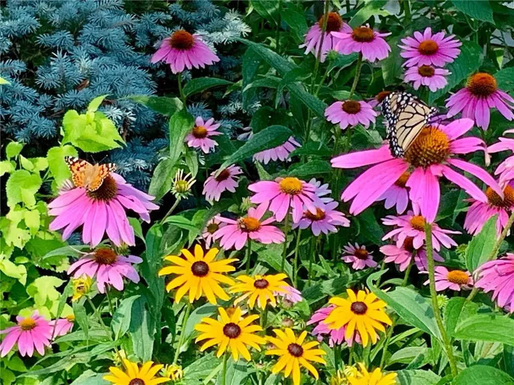 22 Grassy Plain Road East Providence RI 02915