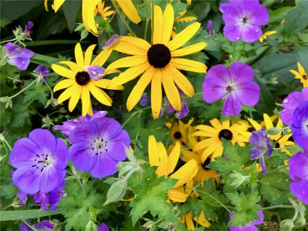 22 Grassy Plain Road East Providence RI 02915