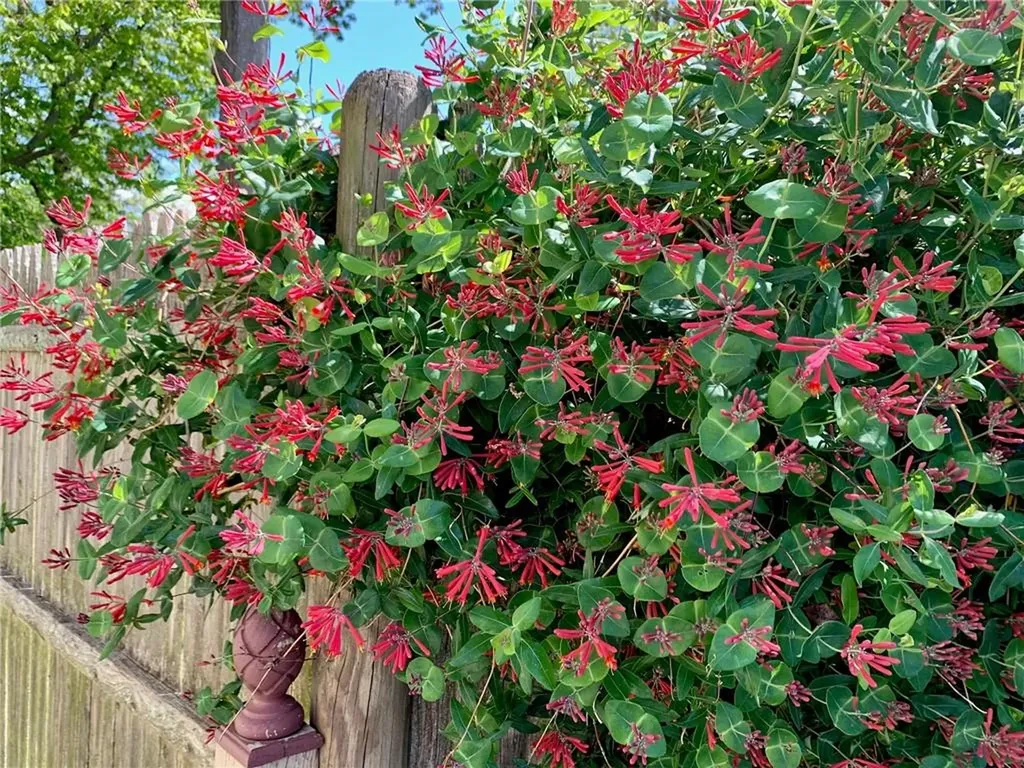 22 Grassy Plain Road East Providence RI 02915