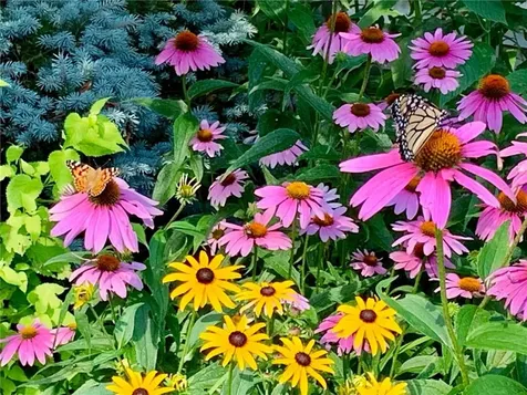 22 Grassy Plain Road East Providence RI 02915