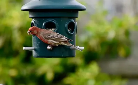 22 Grassy Plain Road East Providence RI 02915