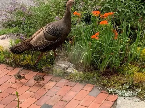 22 Grassy Plain Road East Providence RI 02915