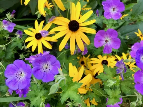 22 Grassy Plain Road East Providence RI 02915