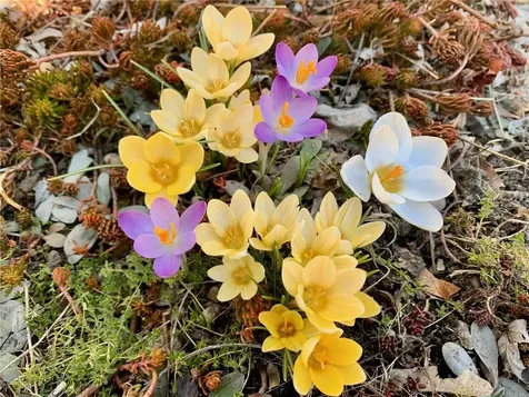 22 Grassy Plain Road East Providence RI 02915