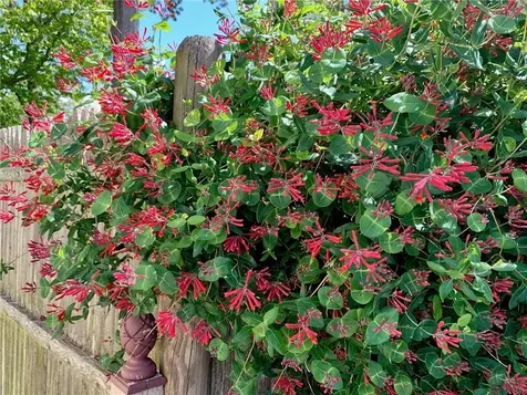 22 Grassy Plain Road East Providence RI 02915