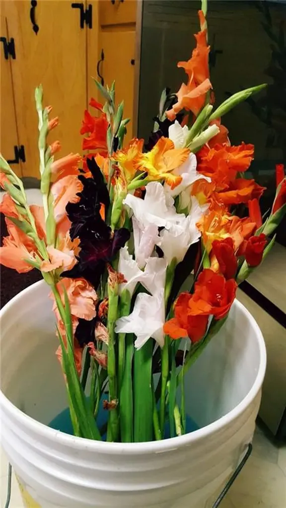 87 Lincoln Park Avenue Cranston RI 02920