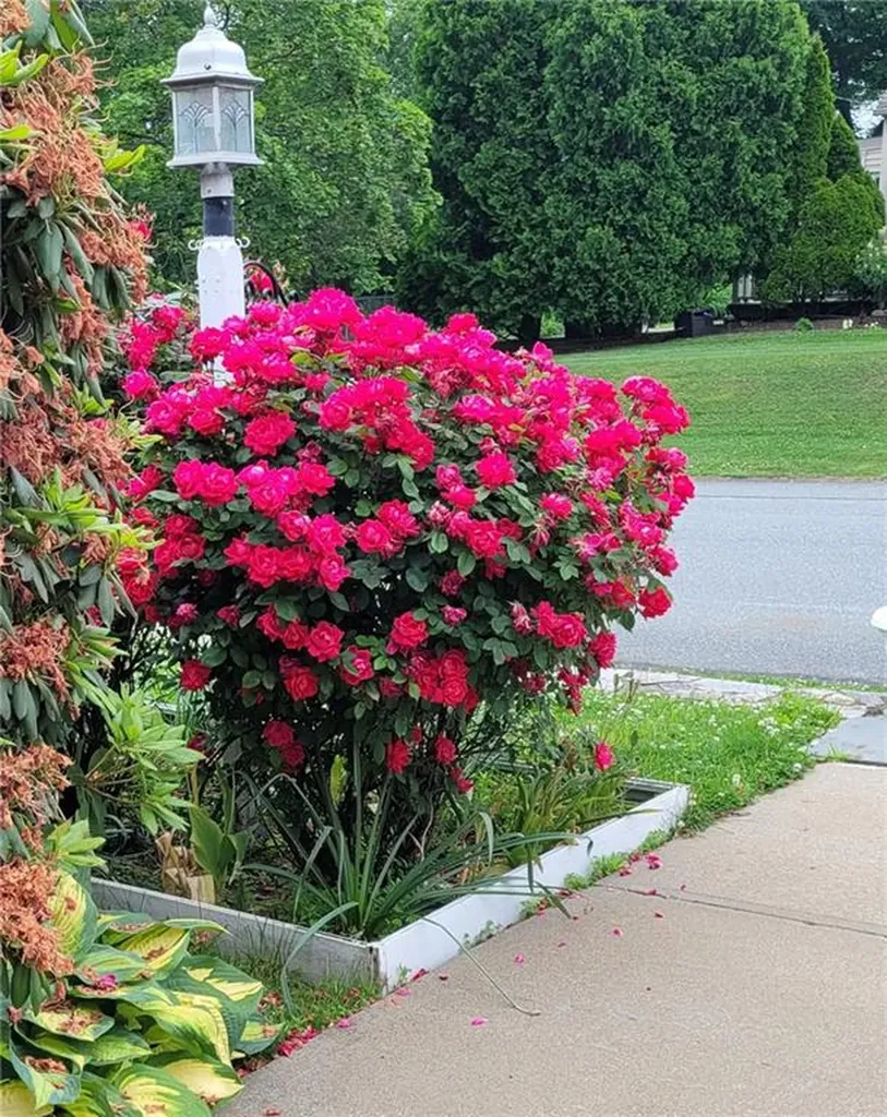 87 Lincoln Park Avenue Cranston RI 02920