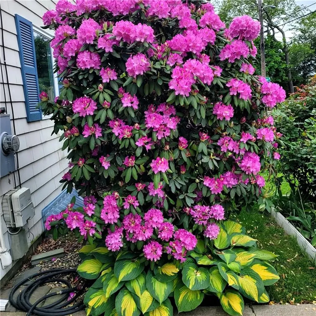 87 Lincoln Park Avenue Cranston RI 02920