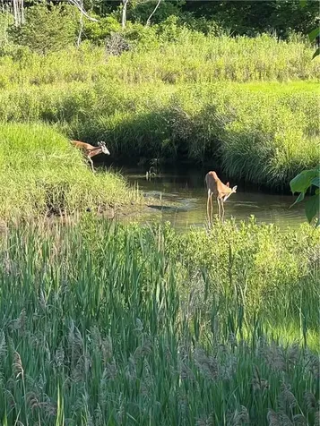 11 Heights Avenue Warwick RI 02889