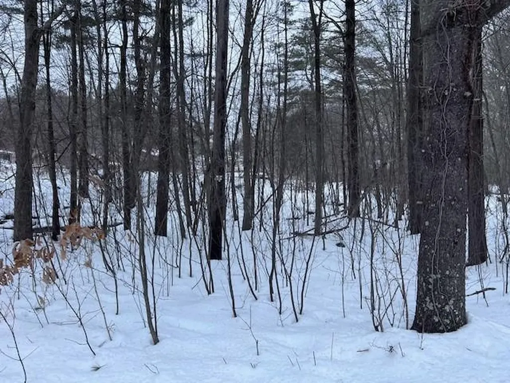0 Wallum Lake Road Burrillville RI 02859